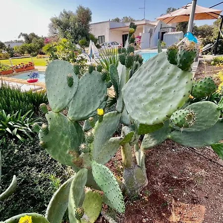 Casa Jane In *
