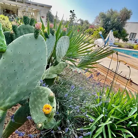 Casa Jane In Σπίτι διακοπών